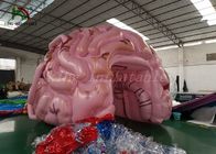 مدل سفارشی تورم تورم رویداد مدل شبیه سازی مغز برای نمایش پزشکی